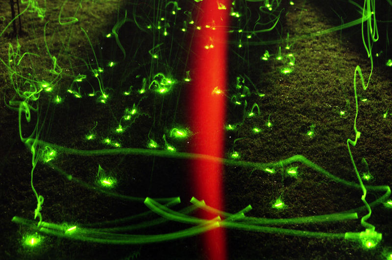 Green light drawing with a vertical red beam