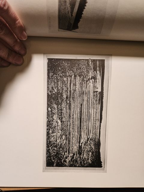 Aspekte der Landschaft, archive scan 6 of 7