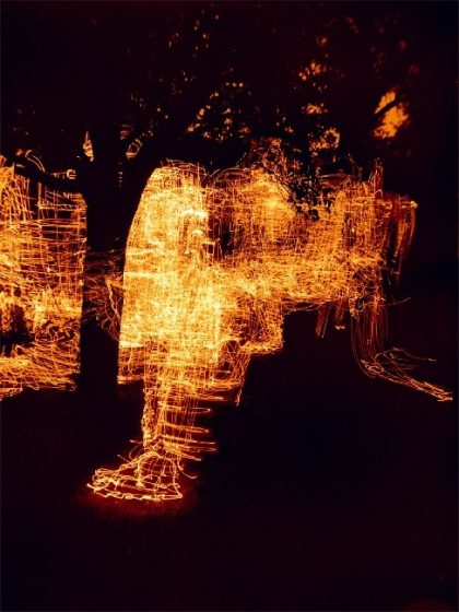 Nachtgestalt baumwärts, 1976