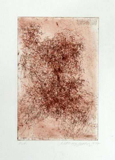 Zart, 1977