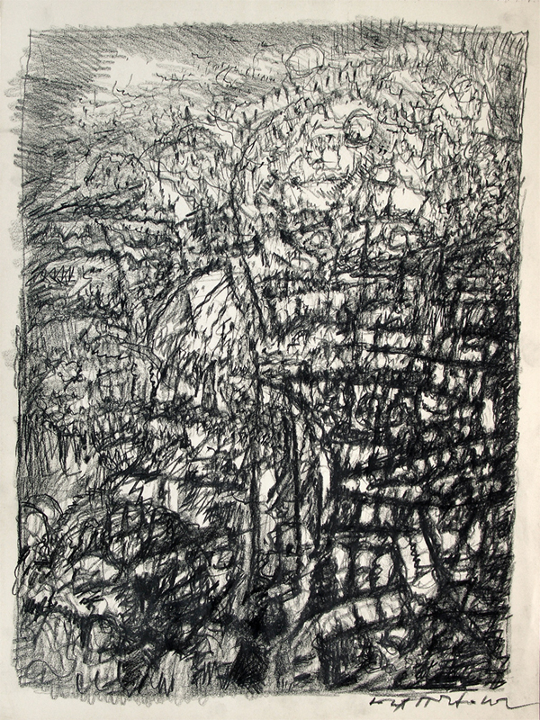 SALOMO, 1993, by Hans Praetterhoffer