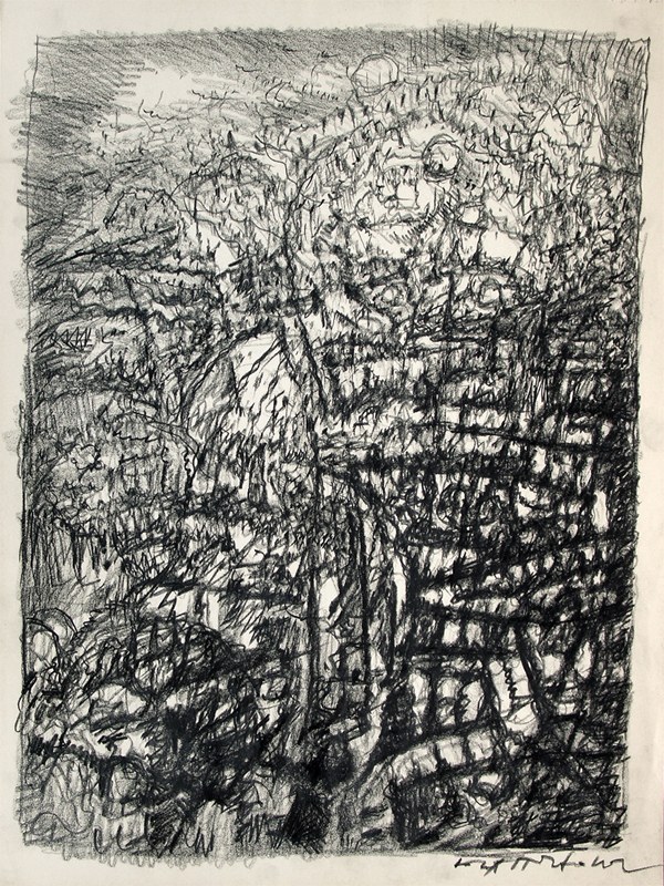 SALOMO, 1993, by Hans Praetterhoffer